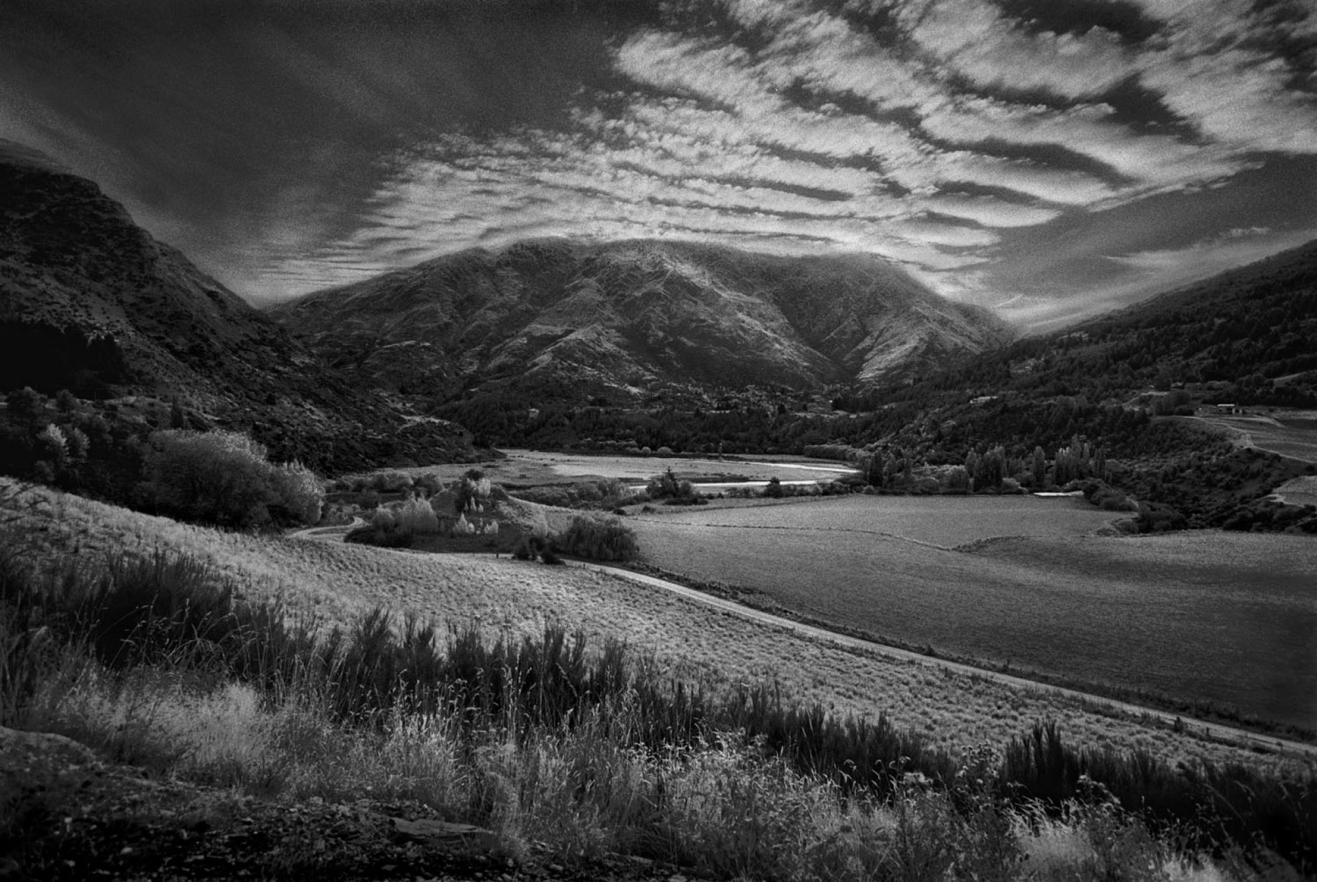 Fields in a Valley near Queenstown. New Zealand Iwo Zaniewski